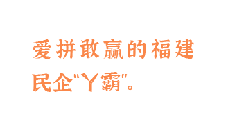 爱拼敢赢的福建民企