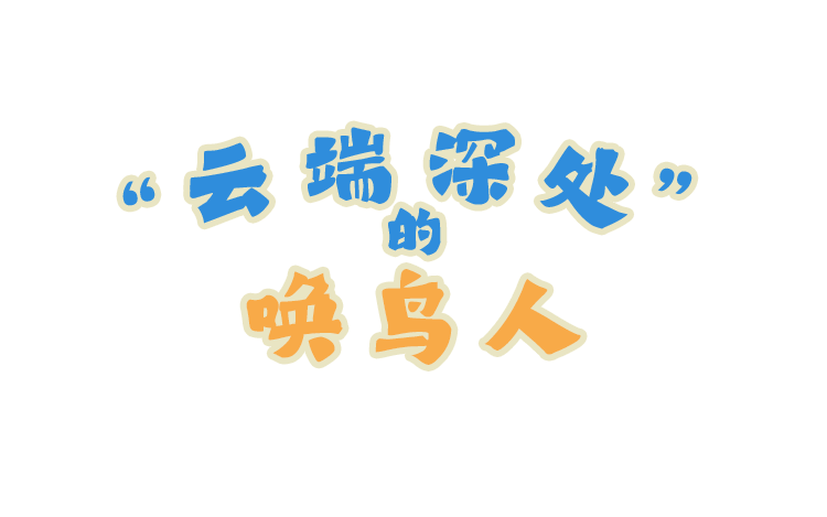 视频文字