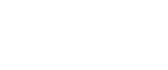 内容